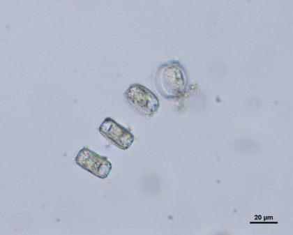 p006.png(93776 byte)