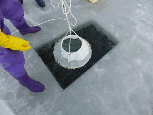 p011.png(414751 byte)